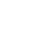 Volleyball World